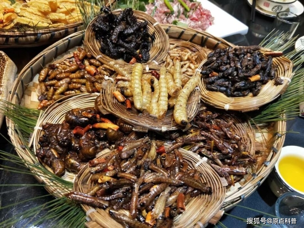 黑暗料理排行榜前十名网红,_云南昆虫宴特色菜_中国黑暗料理盘点